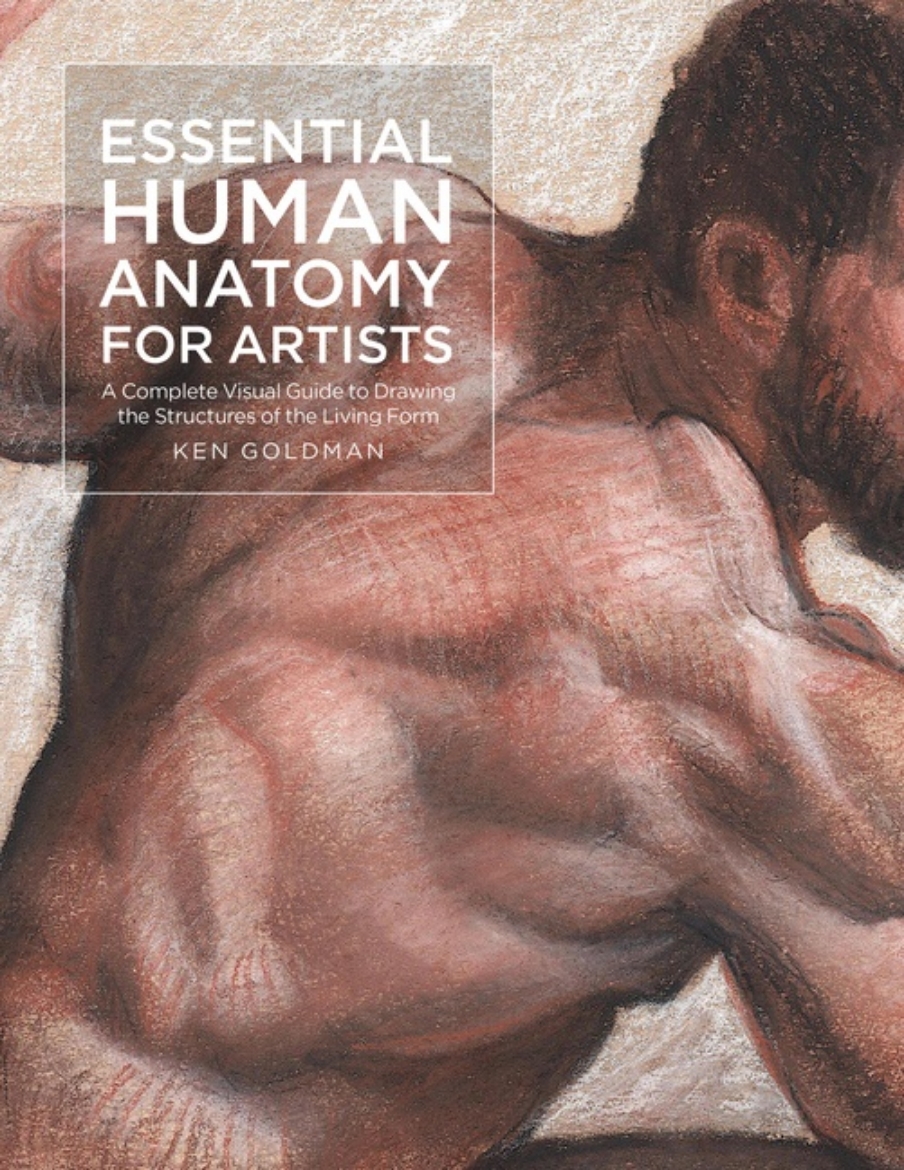 Picture of Essential Human Anatomy For Artists