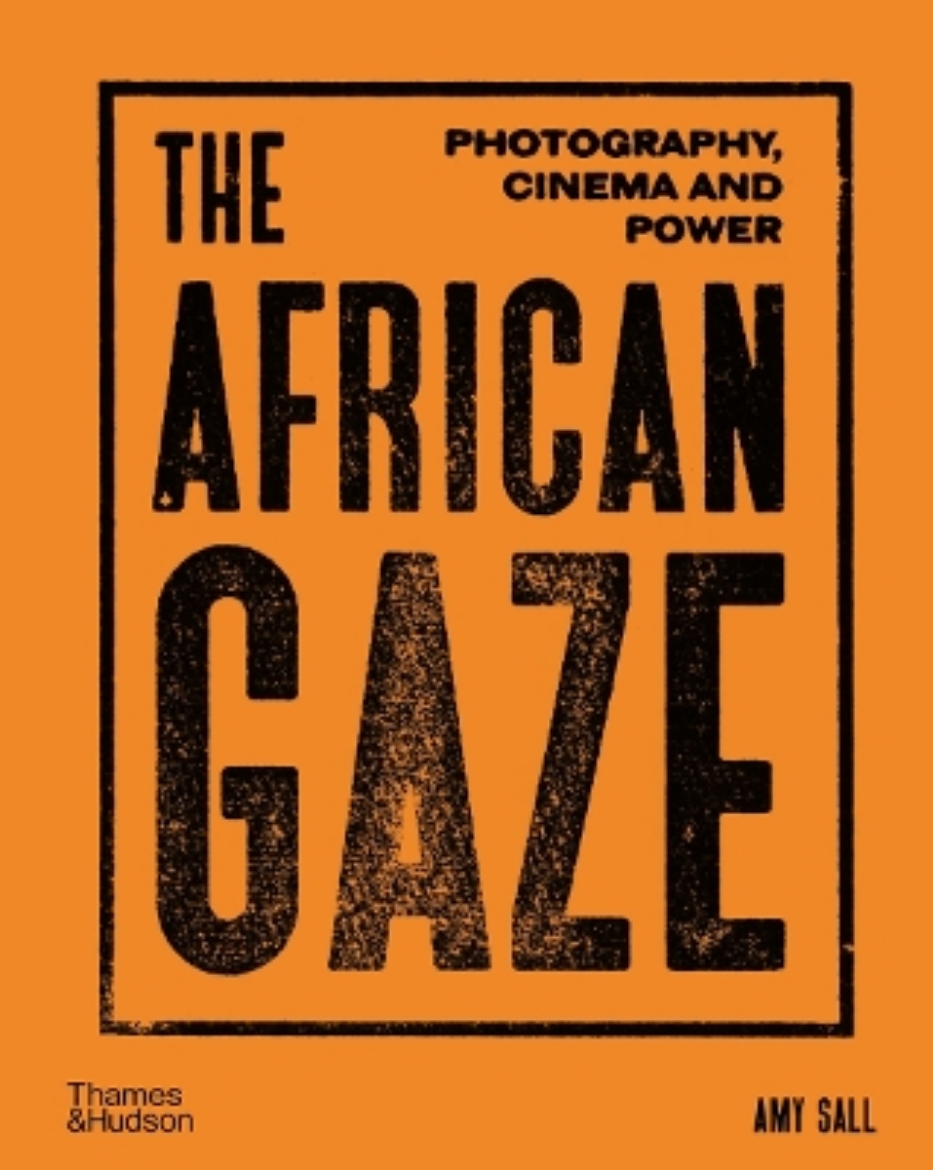 Picture of The African Gaze