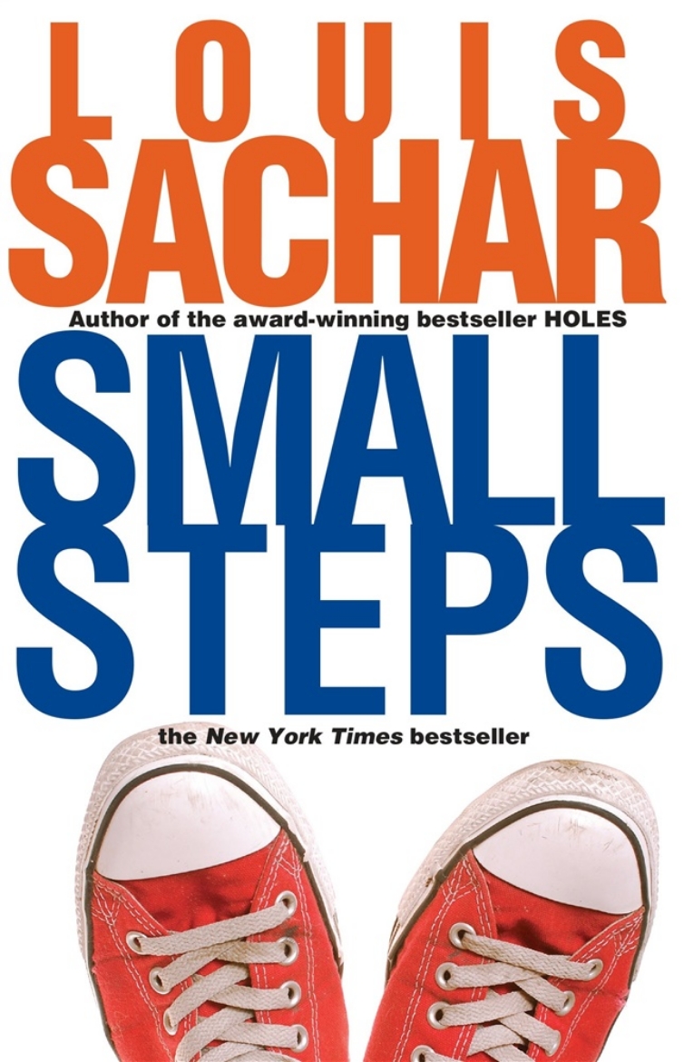Picture of Small Steps