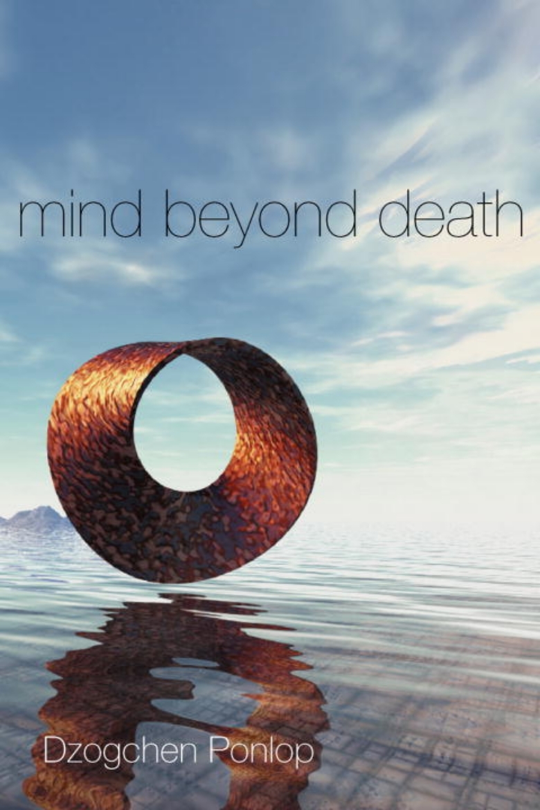 Picture of Mind Beyond Death