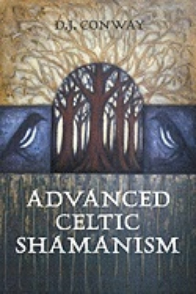 Picture of Advanced Celtic Shamanism