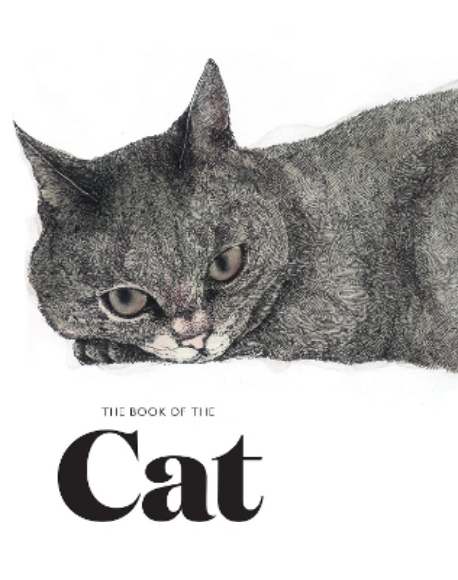 Picture of Book of the cat - cats in art