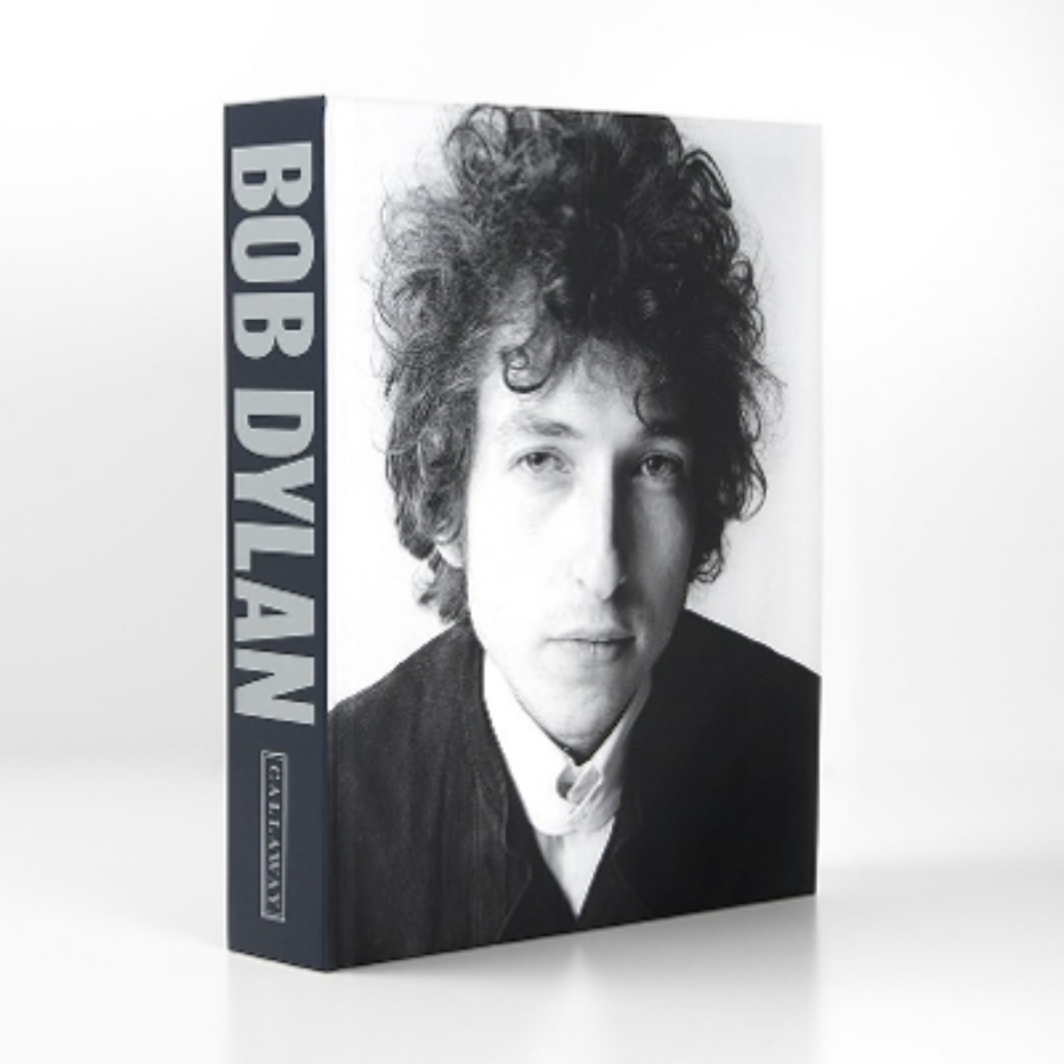 Picture of Bob Dylan: Mixing Up the Medicine