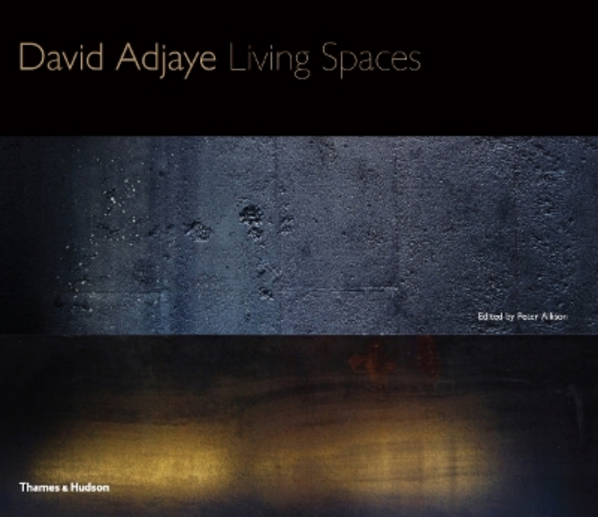 Picture of David adjaye - living spaces