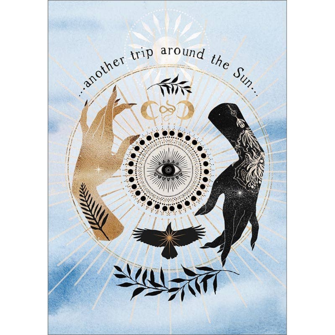 Picture of Another Trip Around The Sun - Al302 : 6 Greeting Card Pack