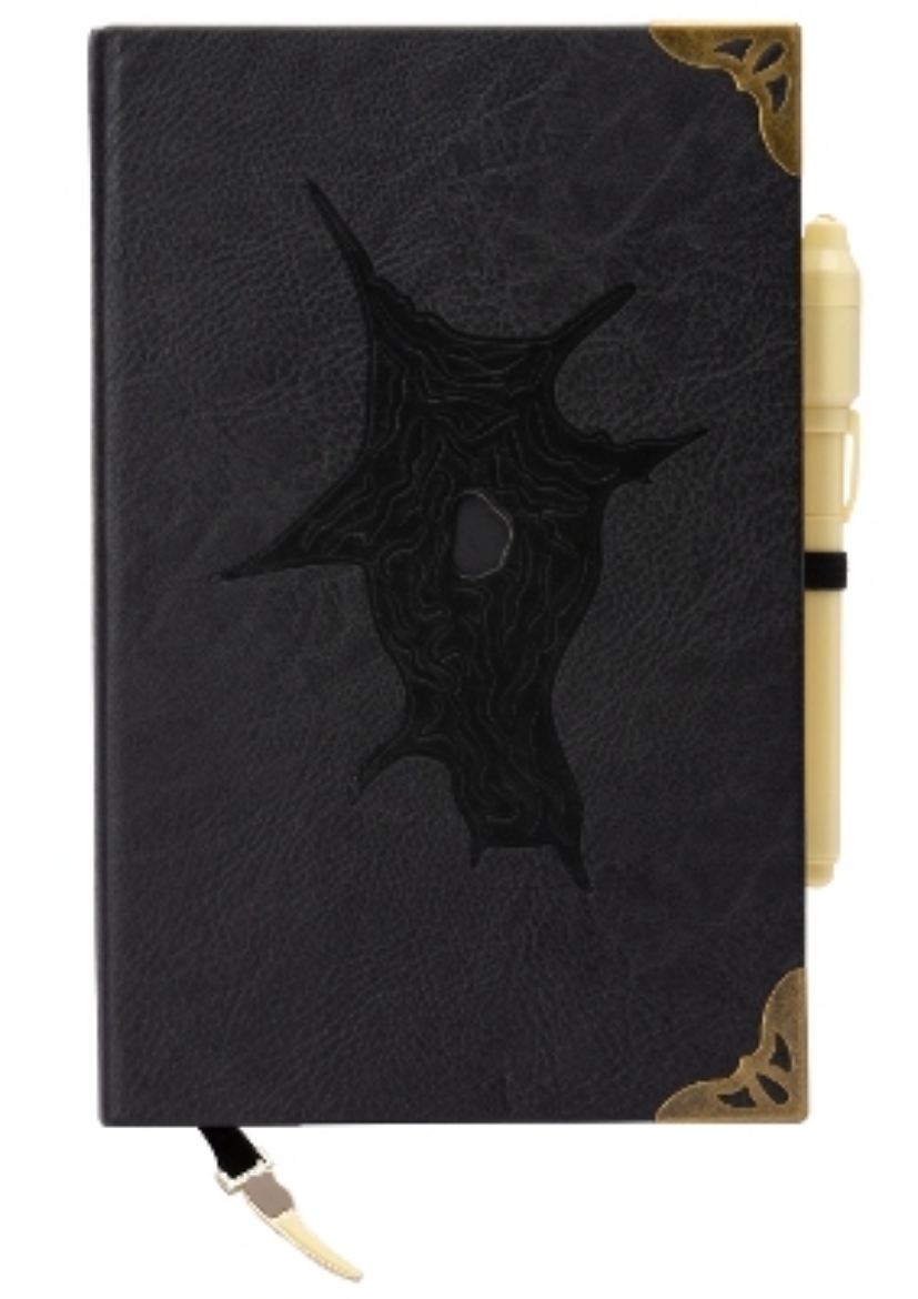 Picture of Harry Potter: Tom Riddle Diary