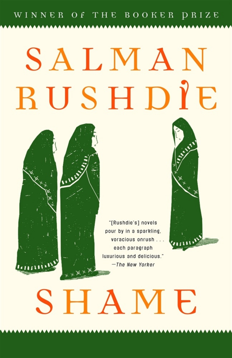 Picture of Shame: A Novel