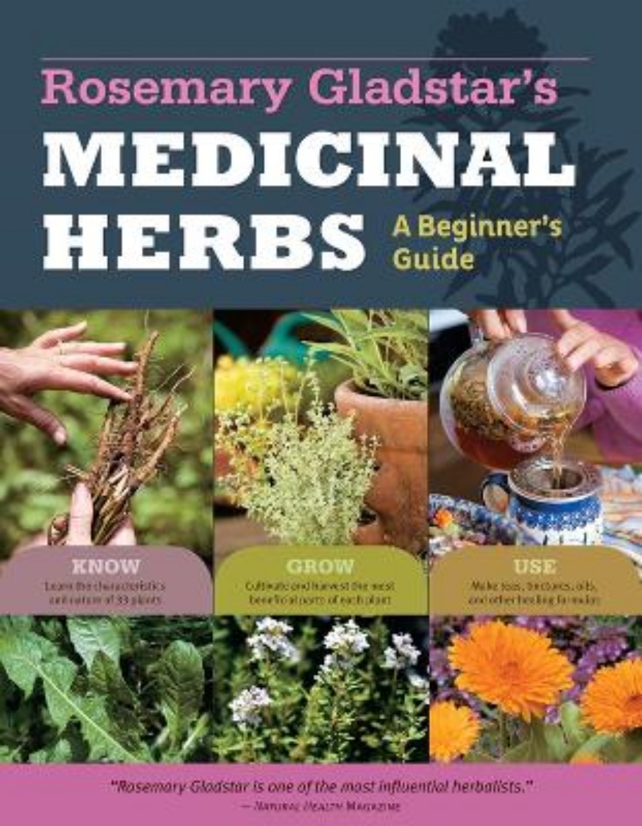 Picture of Medicinal herbs: a beginners guide