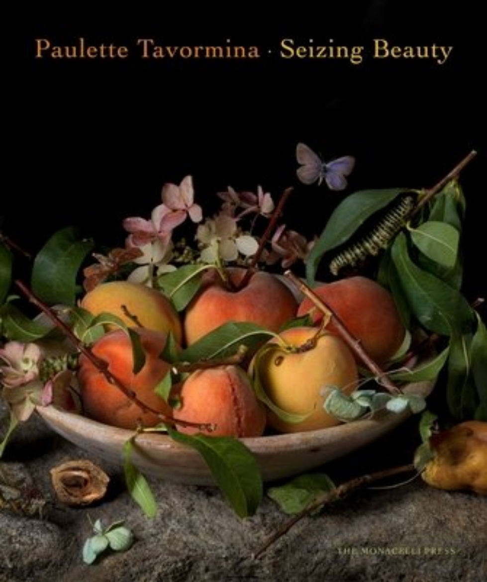 Picture of Paulette Tavormina: Seizing Beauty