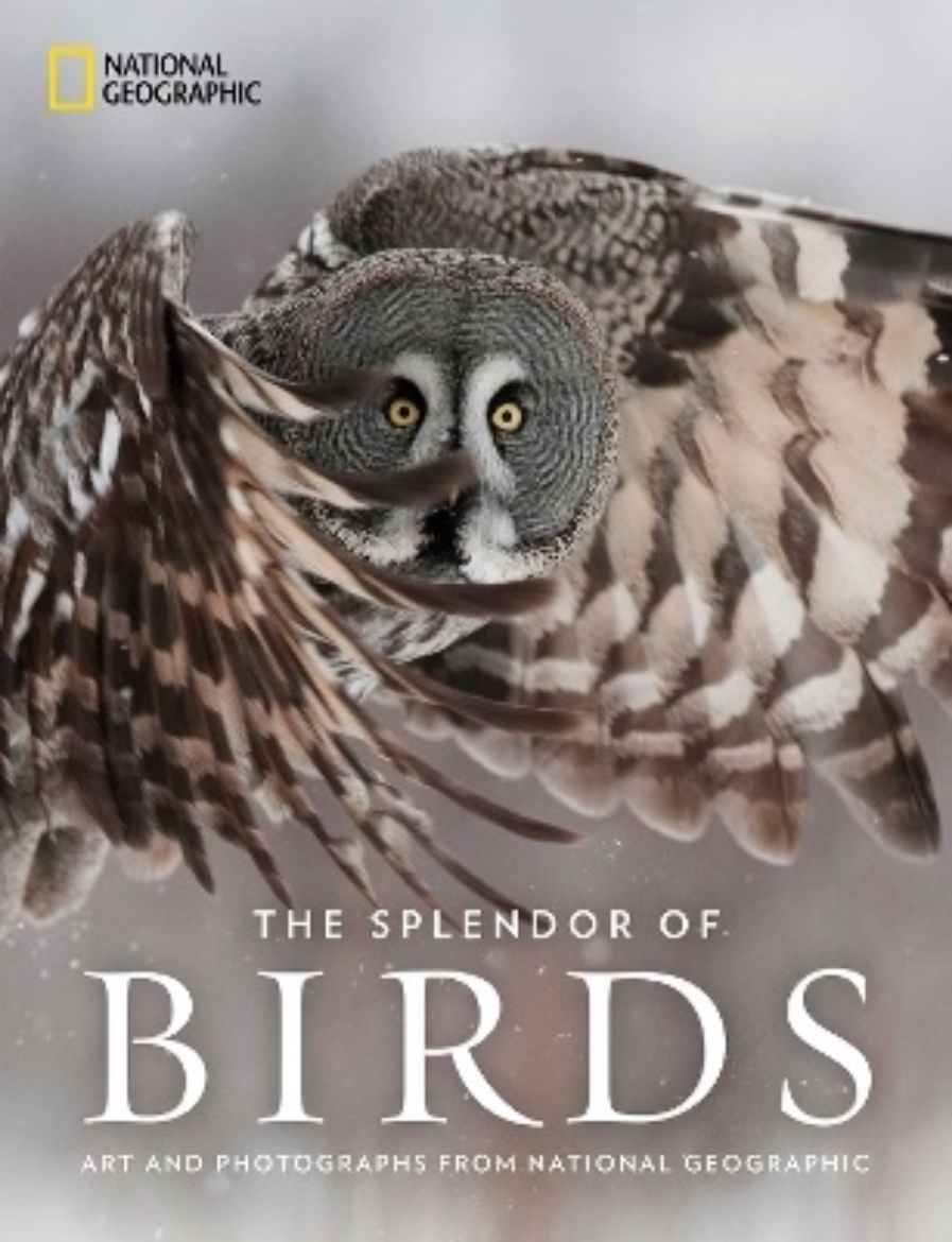 Picture of The Splendor of Birds: Art and Photographs From National Geographic