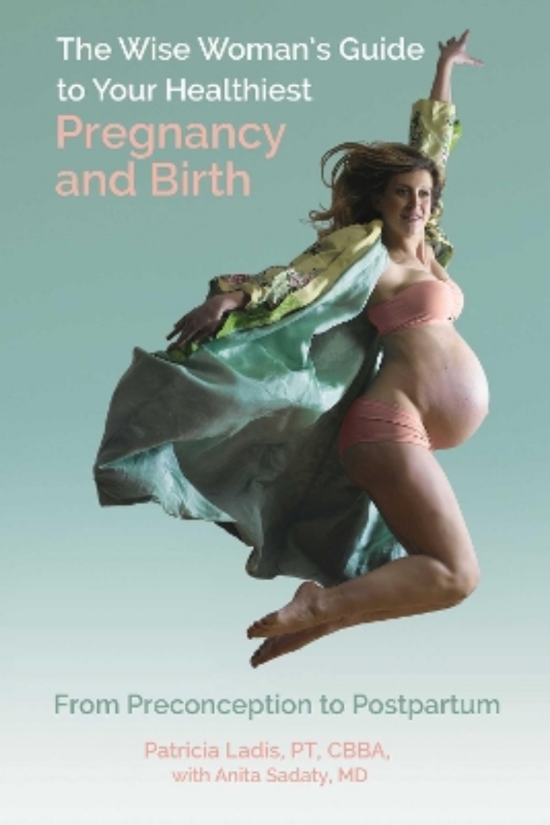 Bild på The Wise Woman's Guide to Your Healthiest Pregnancy and Birth: From Preconception to Postpartum