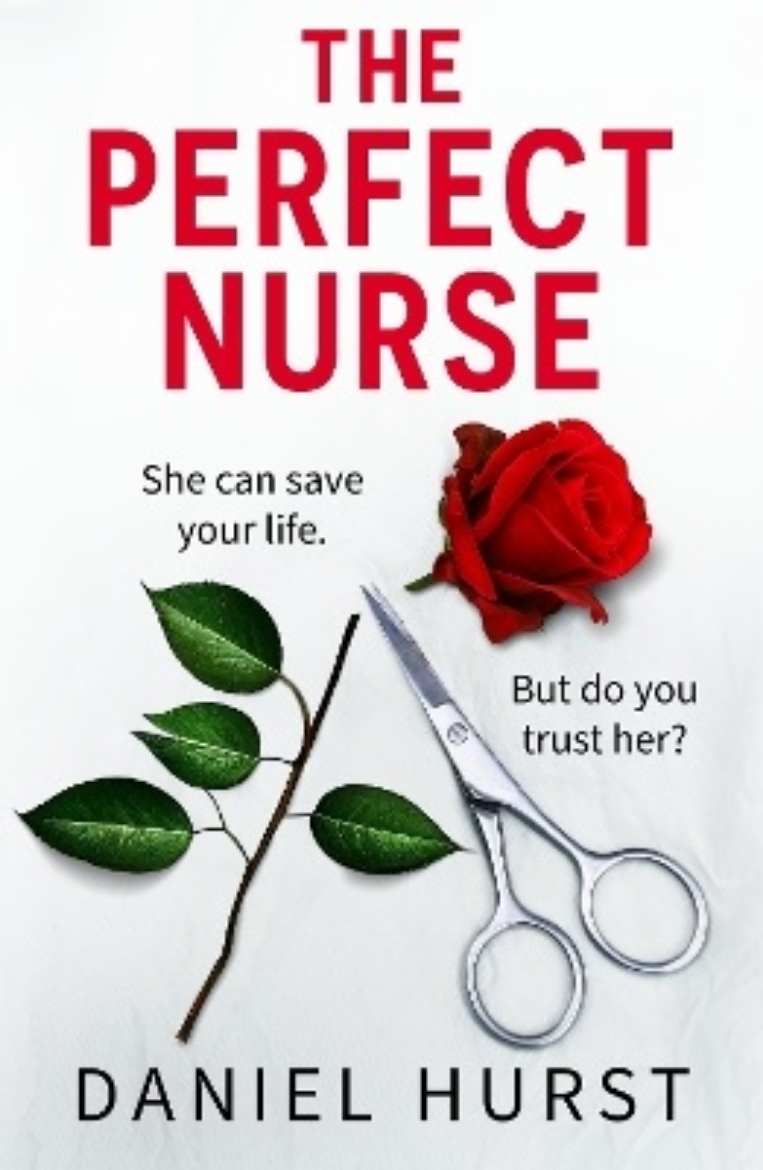 Picture of The Perfect Nurse