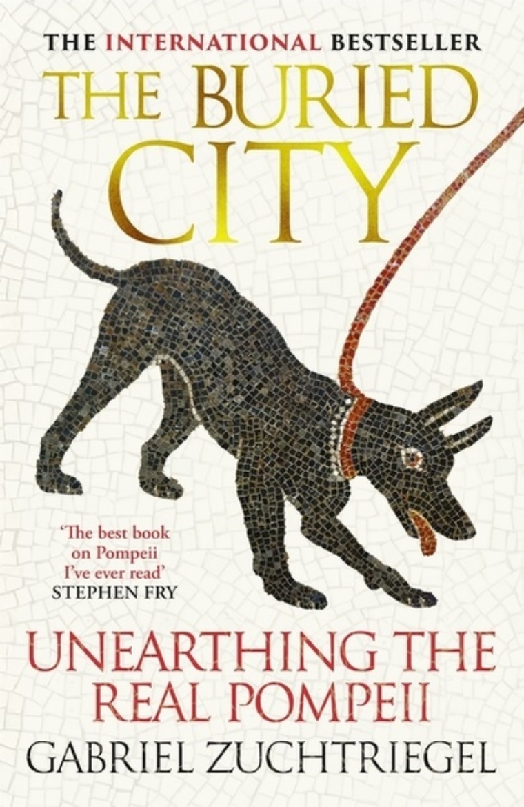 Picture of The Buried City