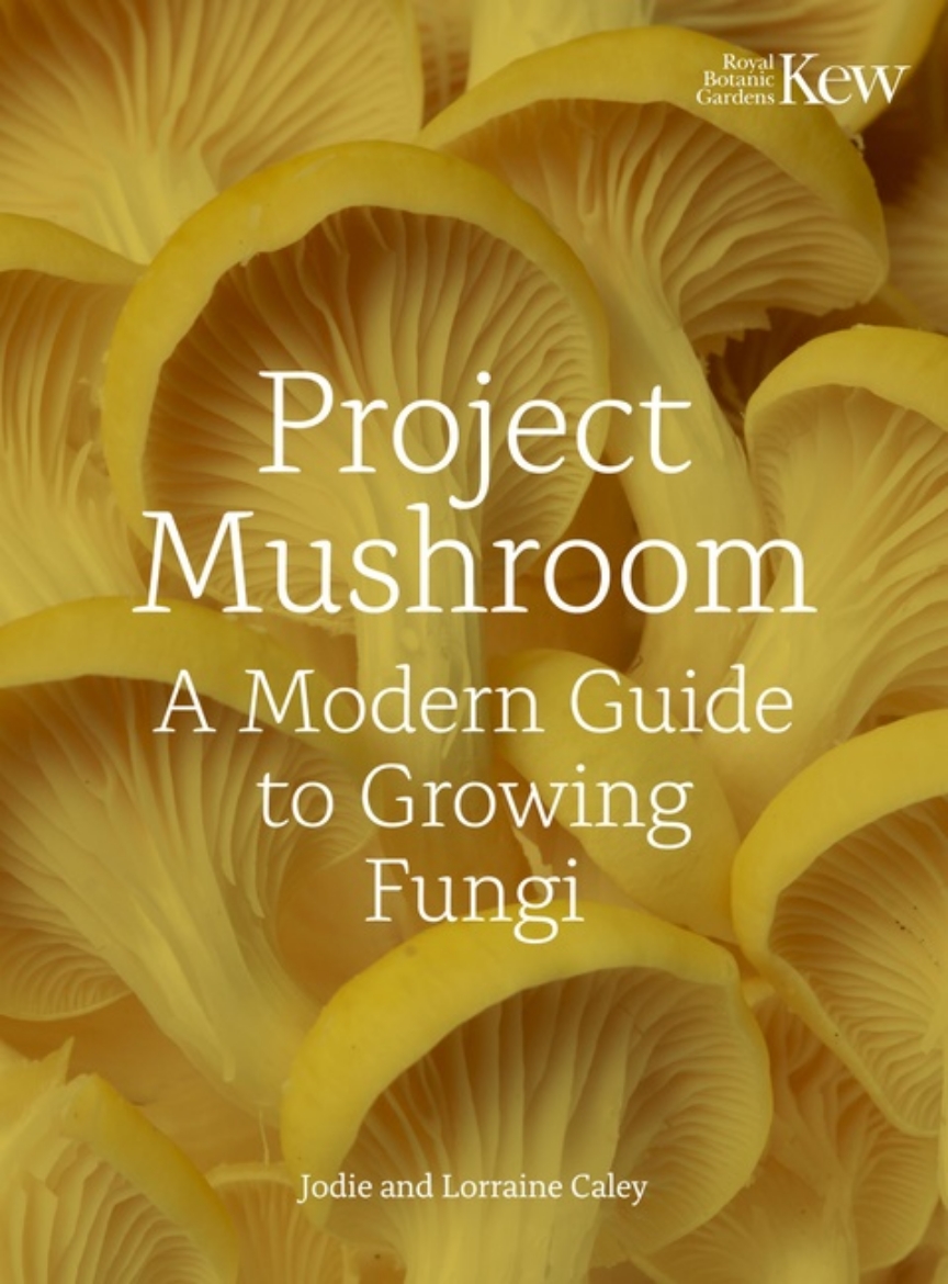 Picture of Project Mushroom