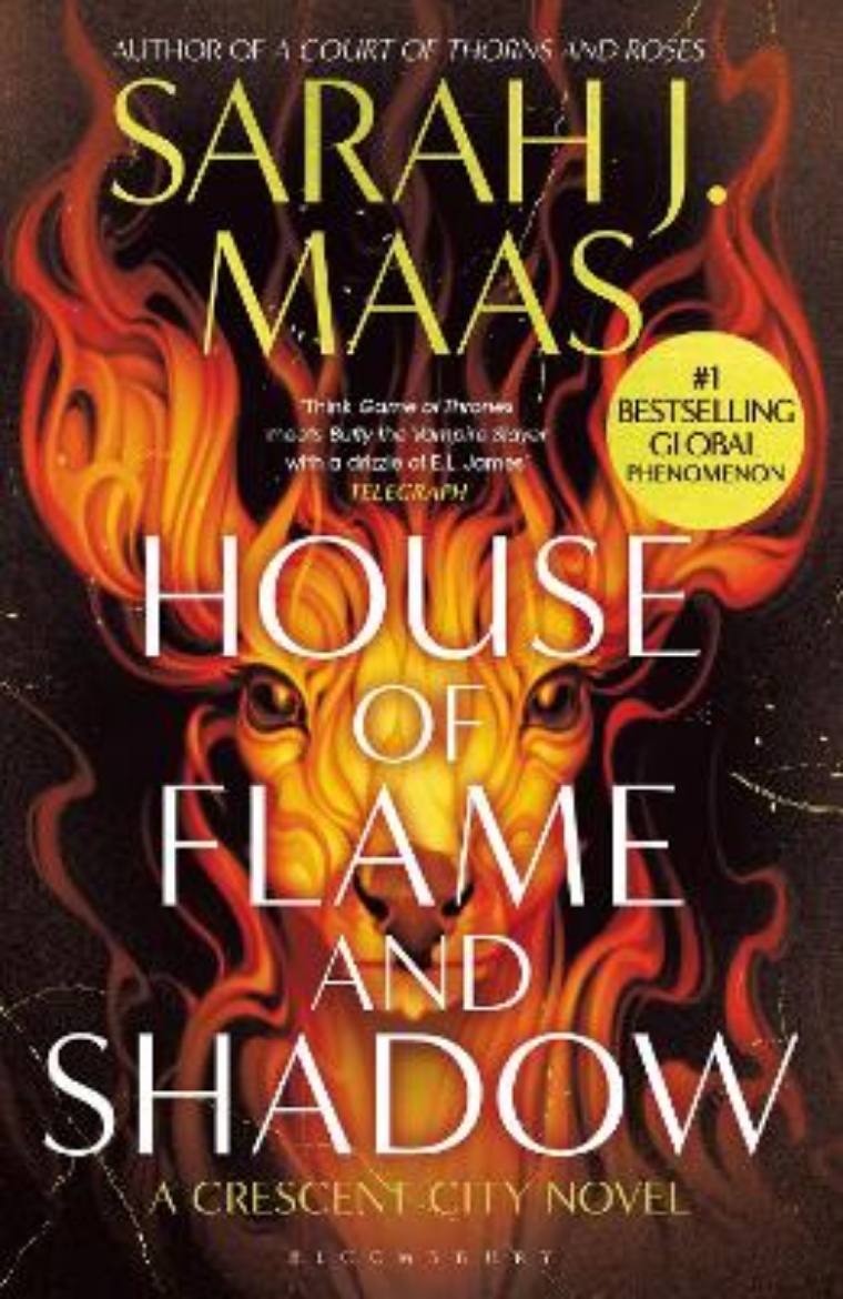 Picture of House of Flame and Shadow