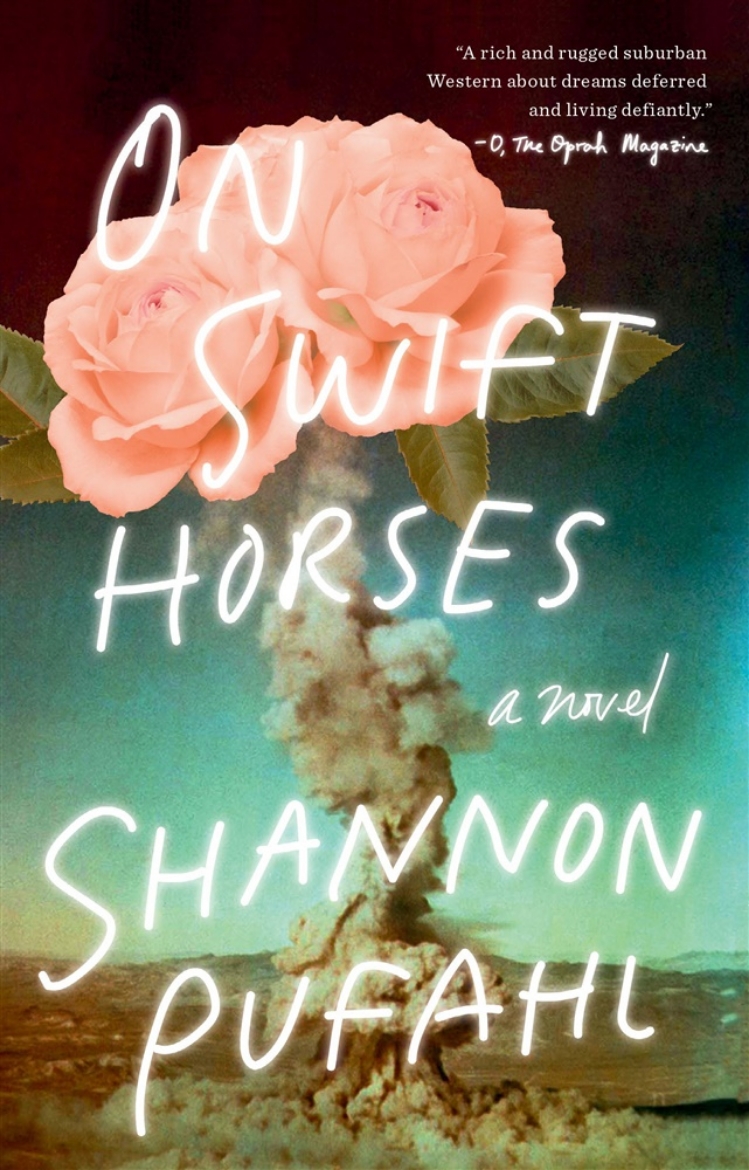 Picture of On Swift Horses: A Novel