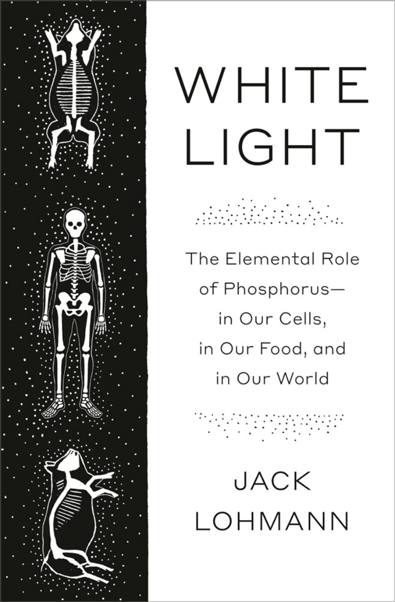 Picture of White Light: The Elemental Role of Phosphorus-in Our Cells, in Our Food, and in Our World