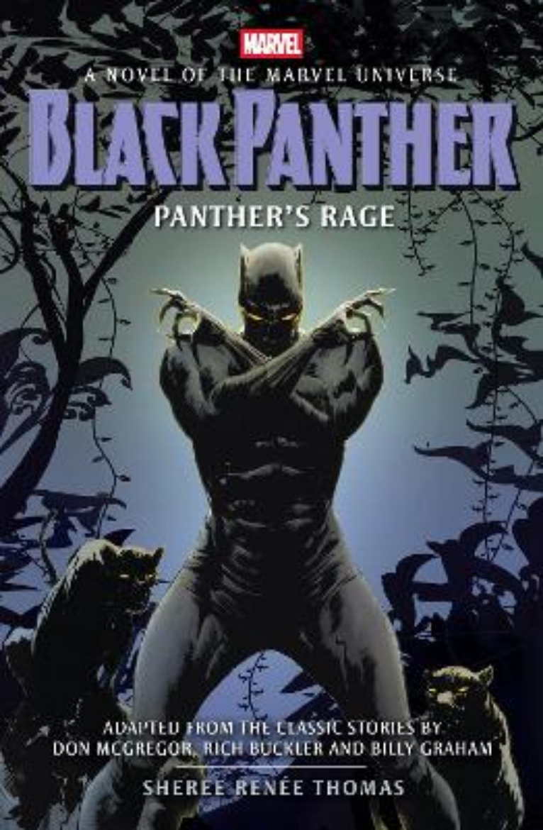 Bild på Black Panther: Panther's Rage