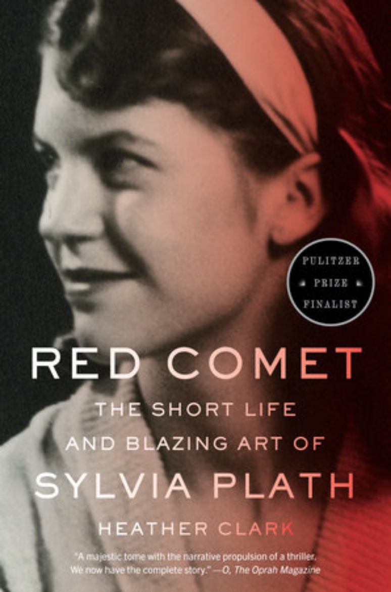 Picture of Red Comet