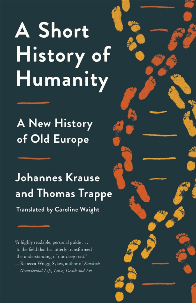 Picture of A Short History of Humanity