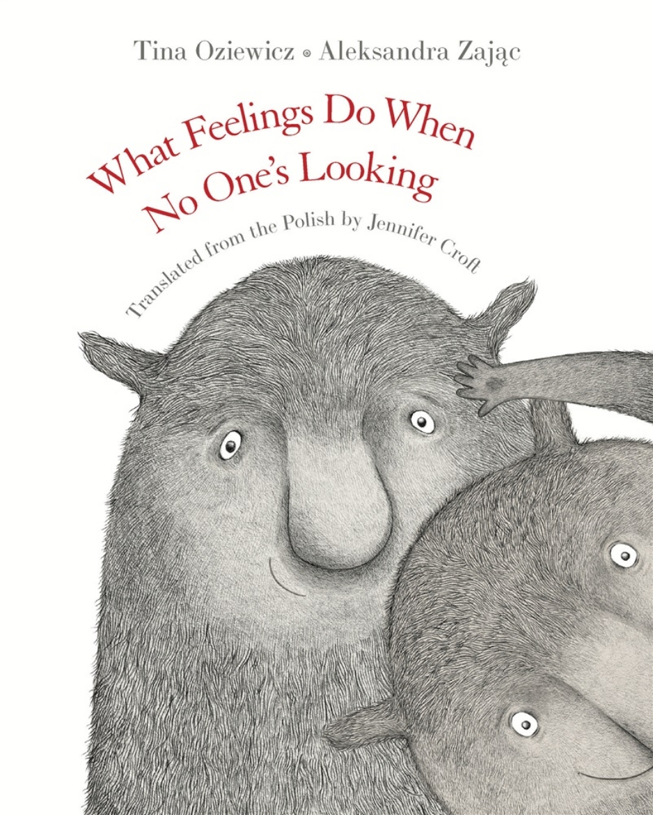 Picture of What Feelings Do When No One’s Looking