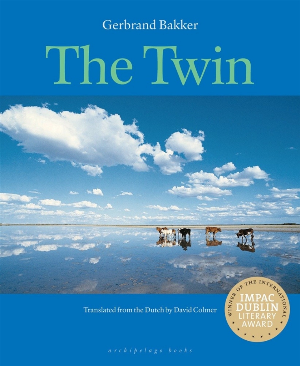 Picture of The Twin