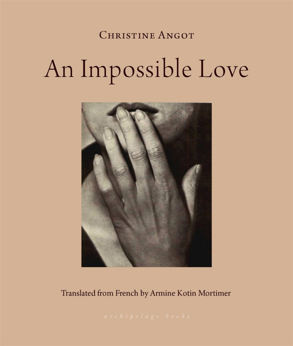 Picture of An Impossible Love