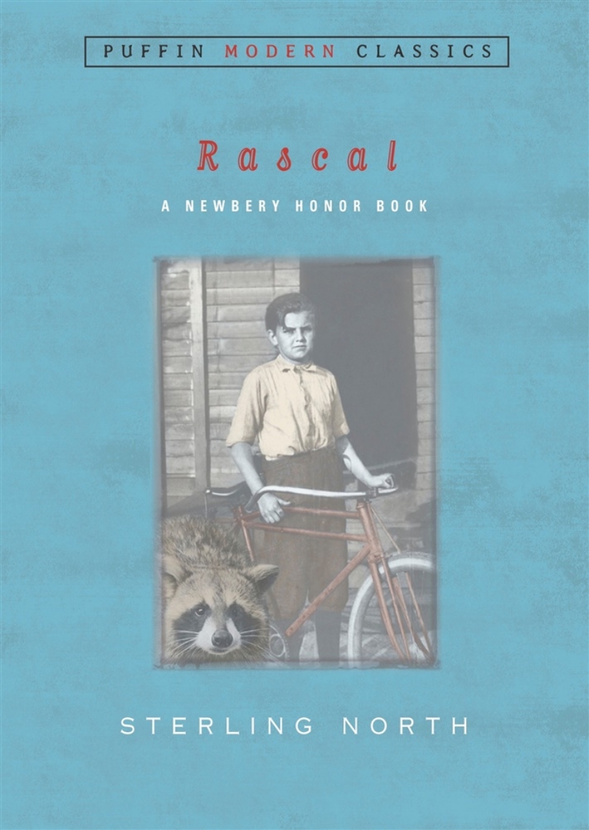 Picture of Rascal (Puffin Modern Classics)