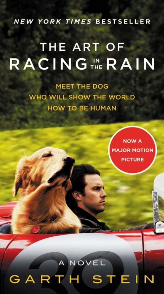Picture of The Art of Racing in the Rain MTI