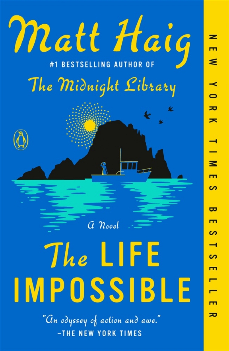 Picture of The Life Impossible: A Novel