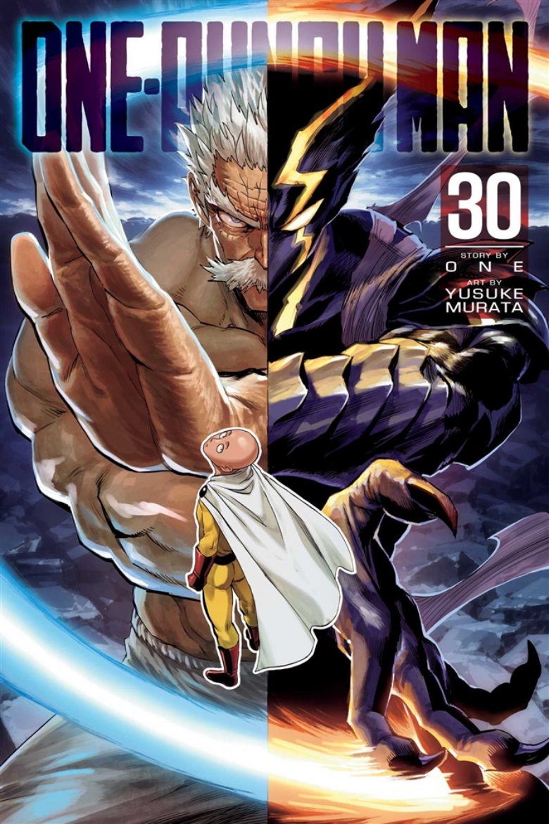 Picture of One-Punch Man, Vol. 30