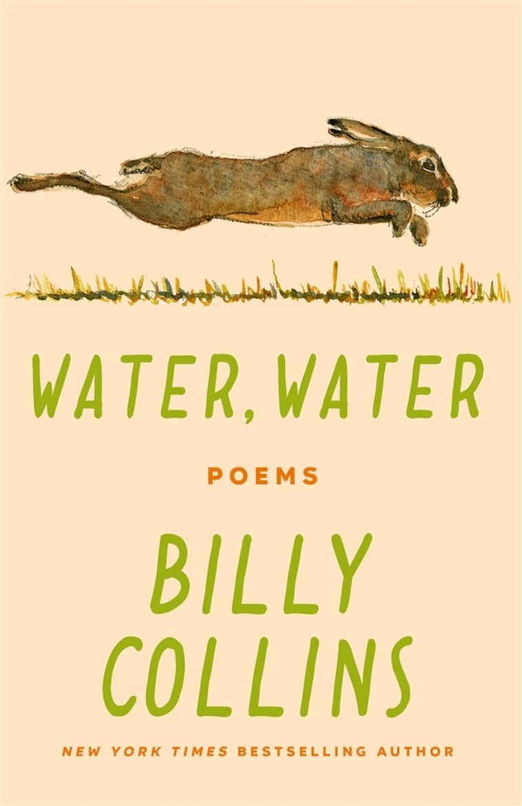 Picture of Water, Water: Poems