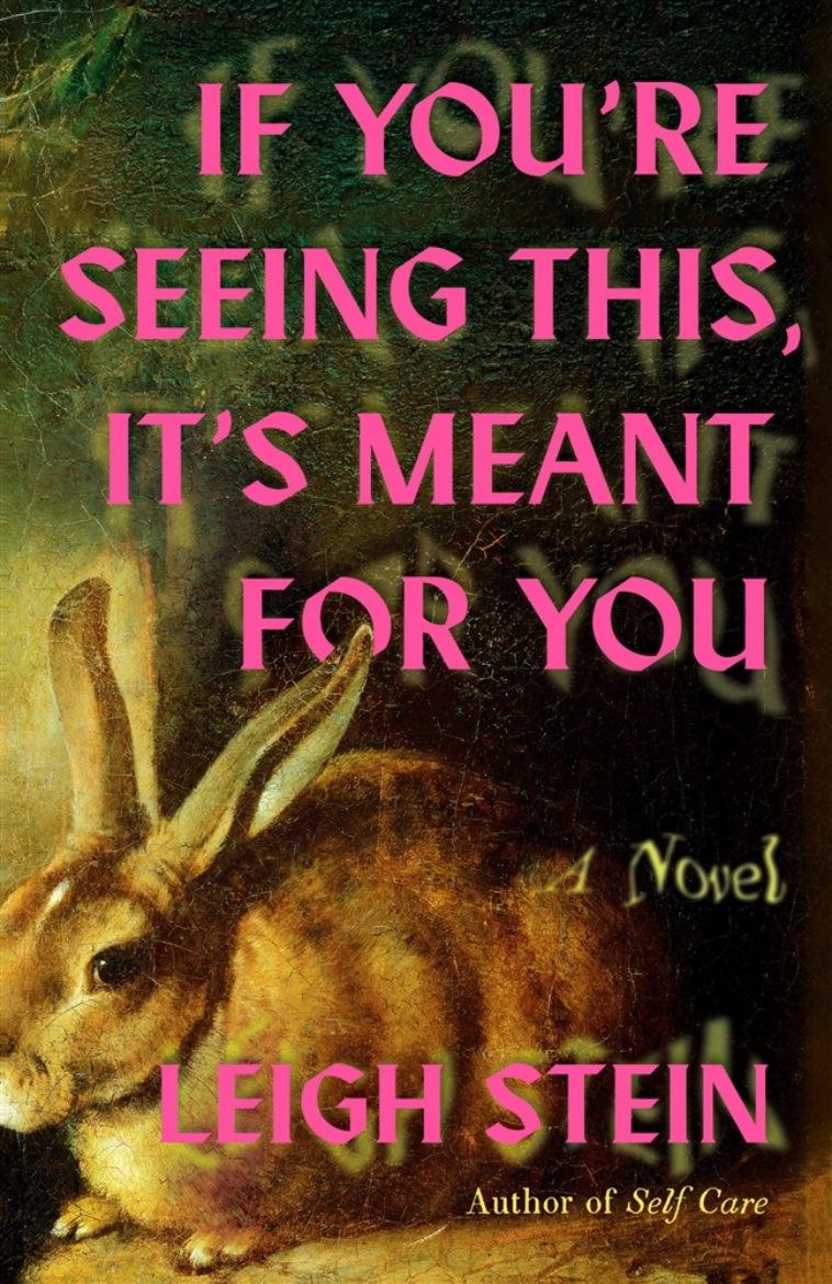 Picture of If You're Seeing This, It's Meant for You: A Novel