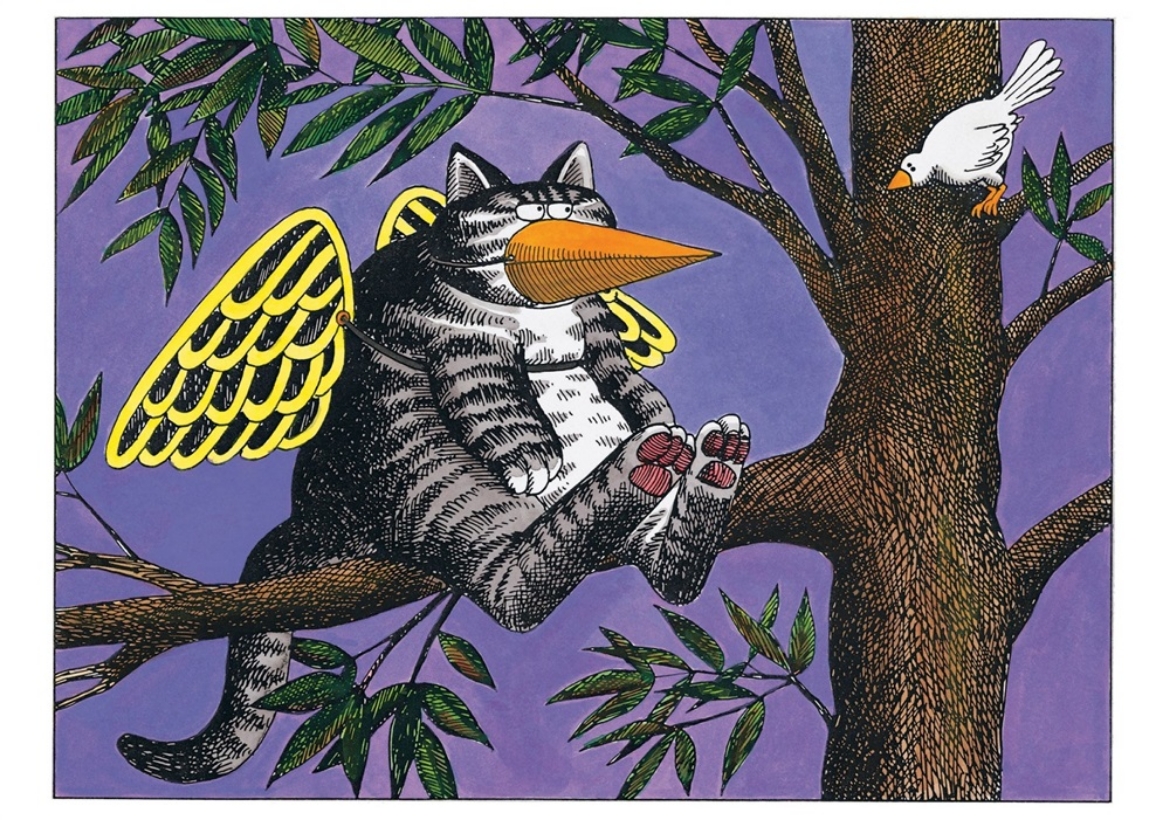 Picture of Cat Wearing Bird Disguise Notecard