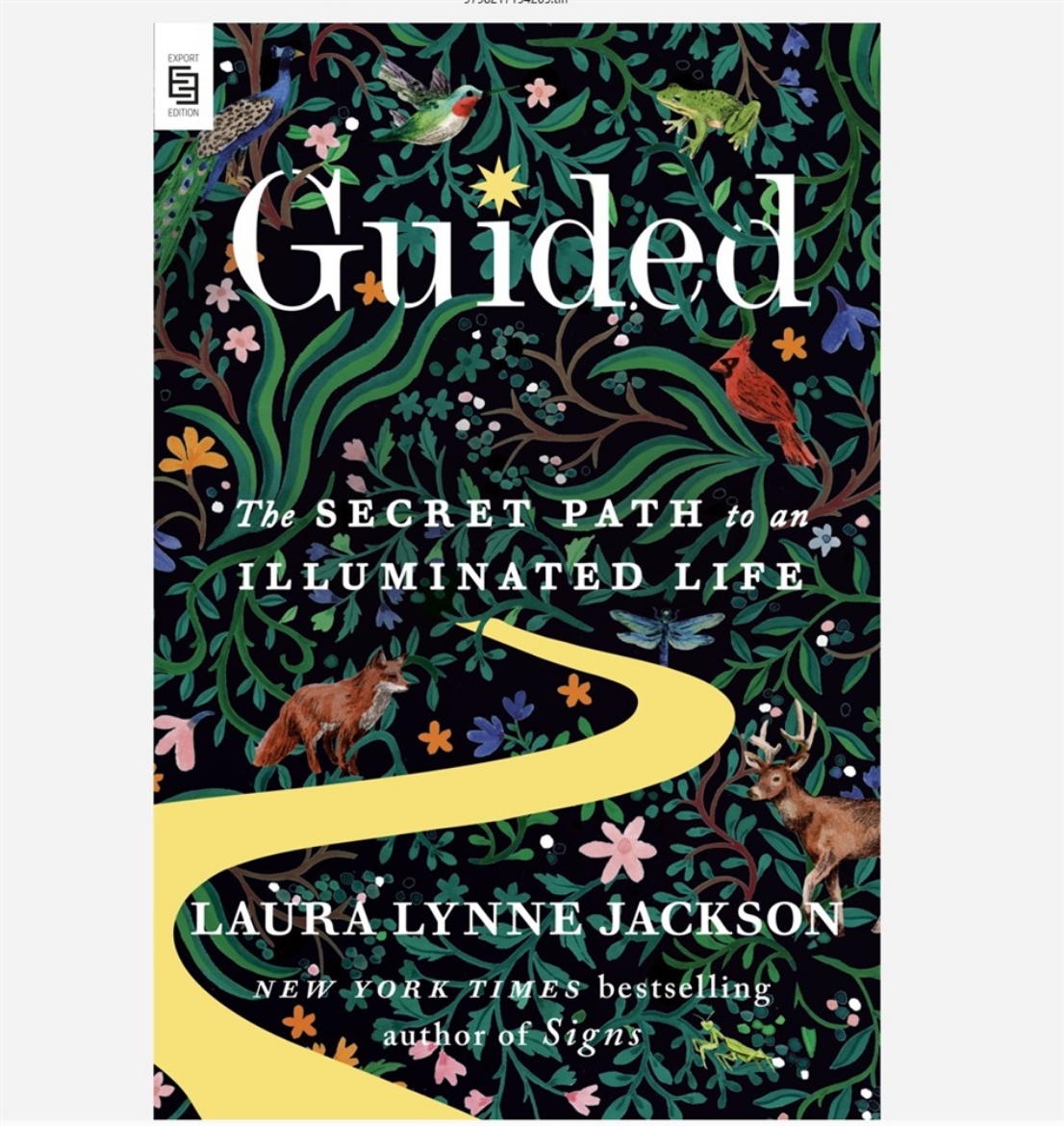 Picture of Guided: The Secret Path to an Illuminated Life