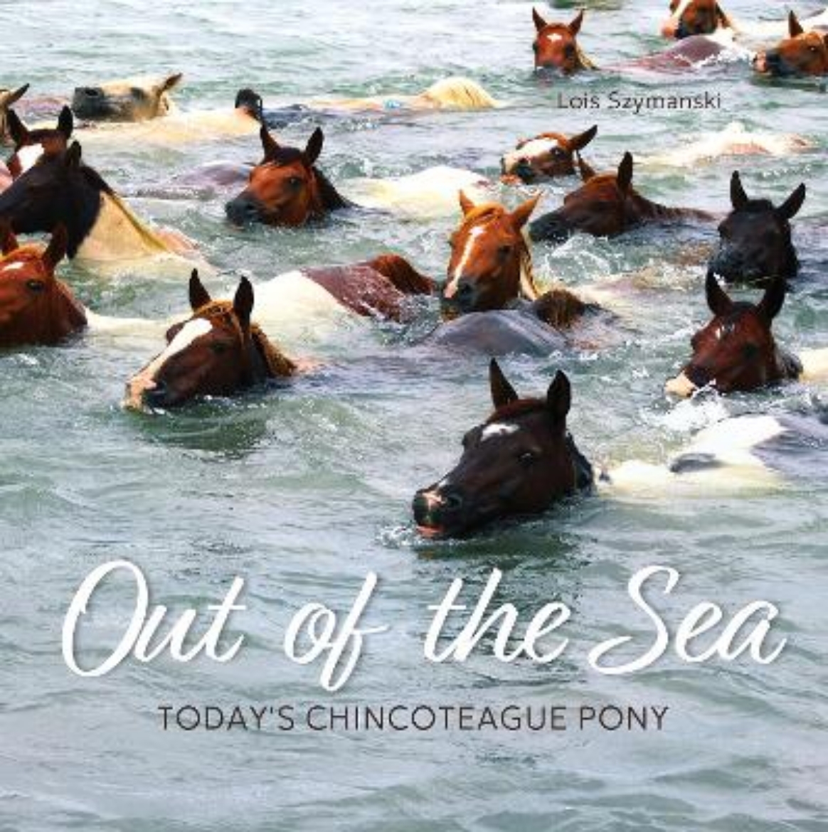 Picture of Out of the Sea: Today's Chincoteague Pony (2nd Edition)