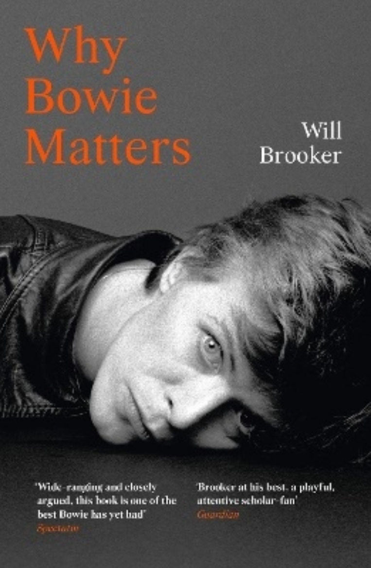 Picture of Why Bowie Matters