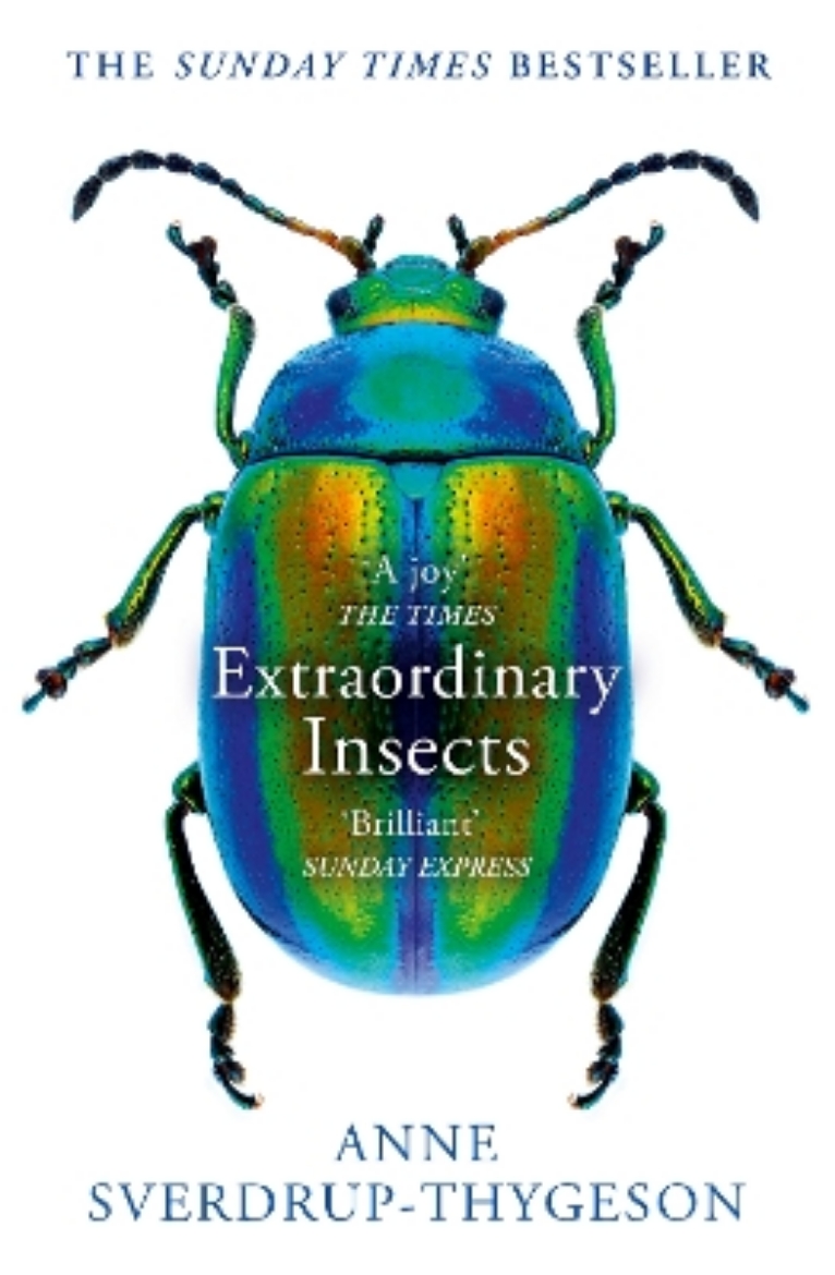 Picture of Extraordinary Insects : Weird, Wonderful, Indispensable, the Ones Who Run o