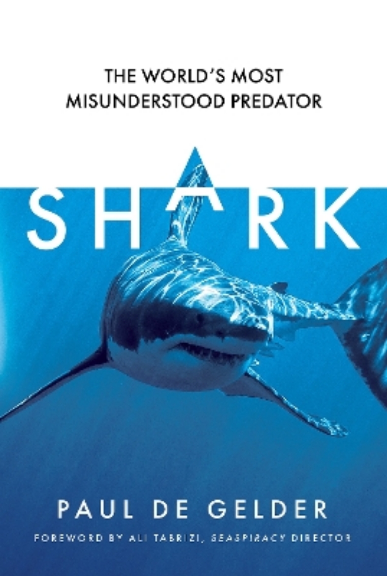 Picture of Shark