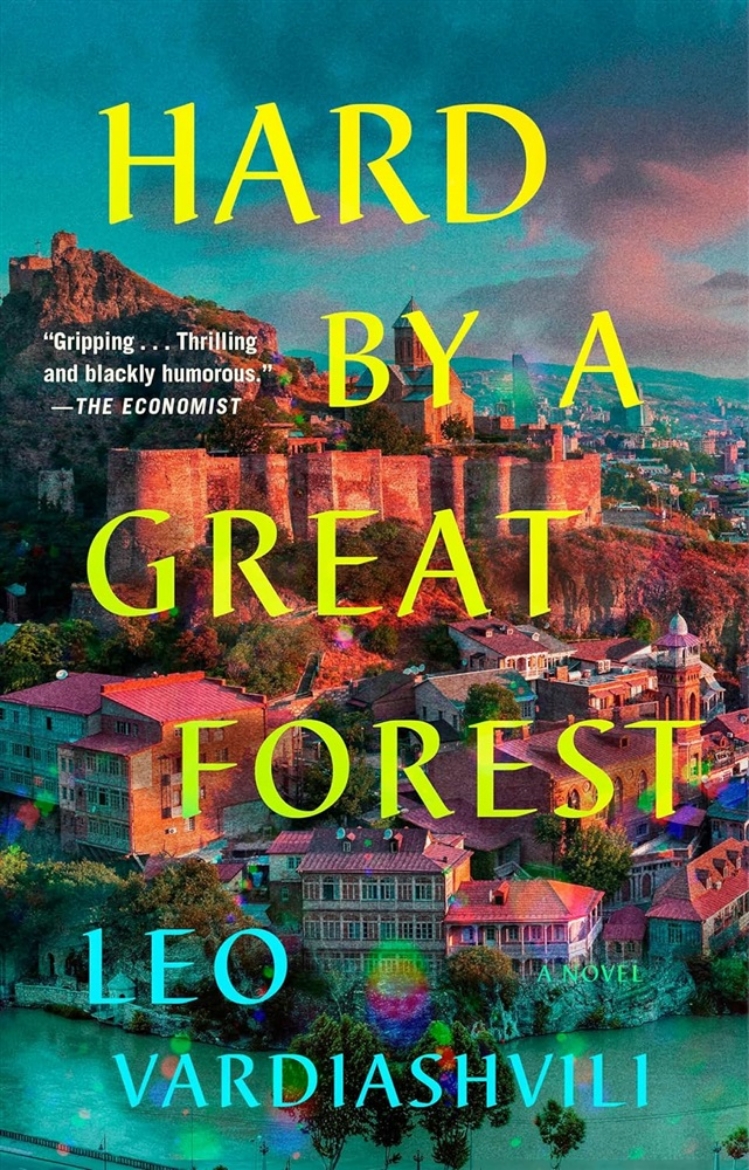 Picture of Hard by a Great Forest: A Novel