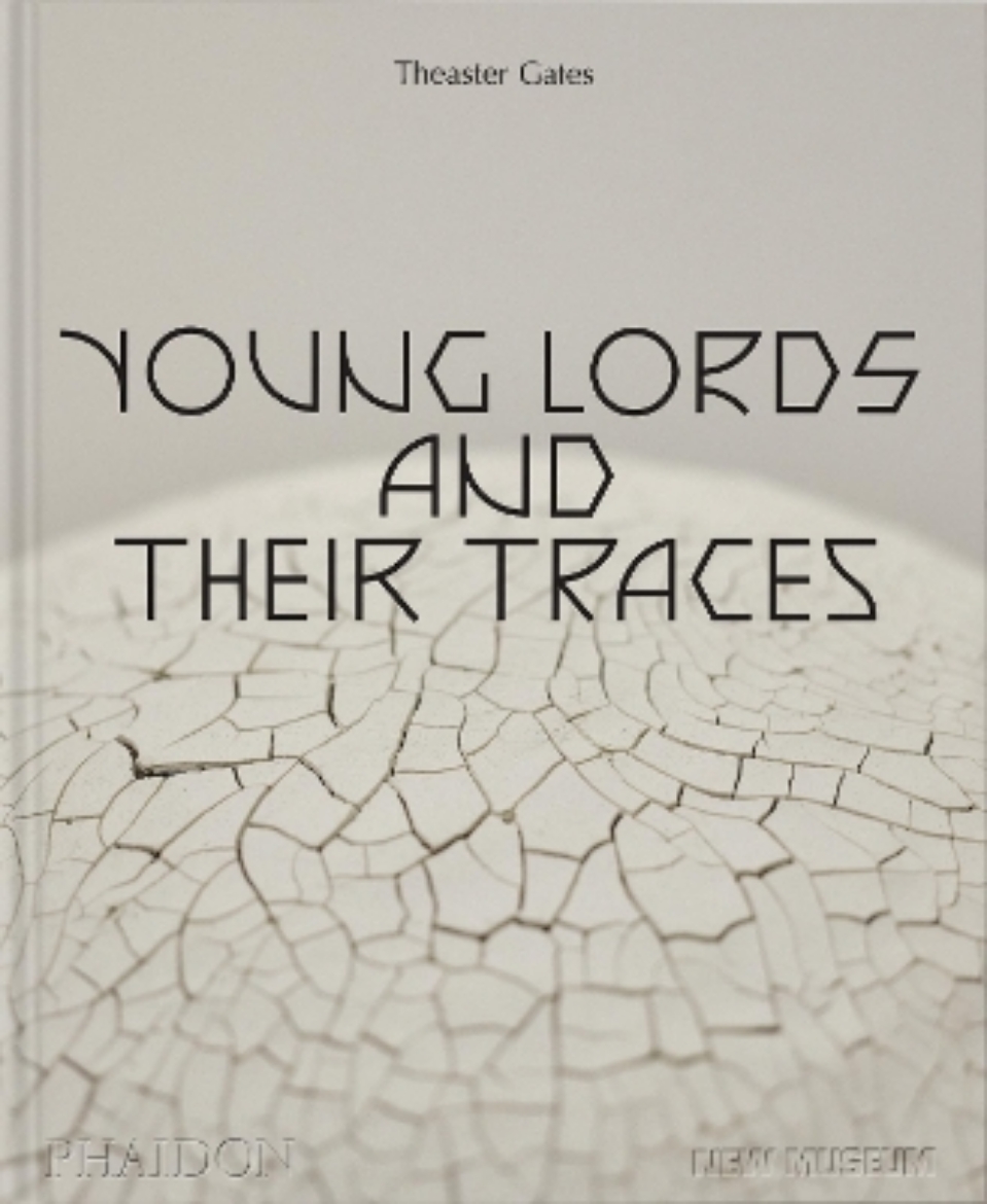 Picture of Theaster Gates: Young Lords and Their Traces