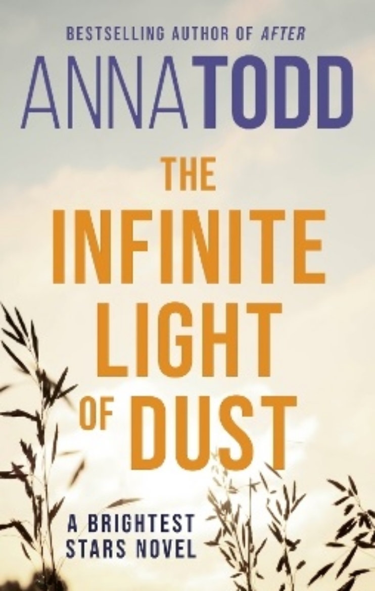 Picture of The Infinite Light of Dust