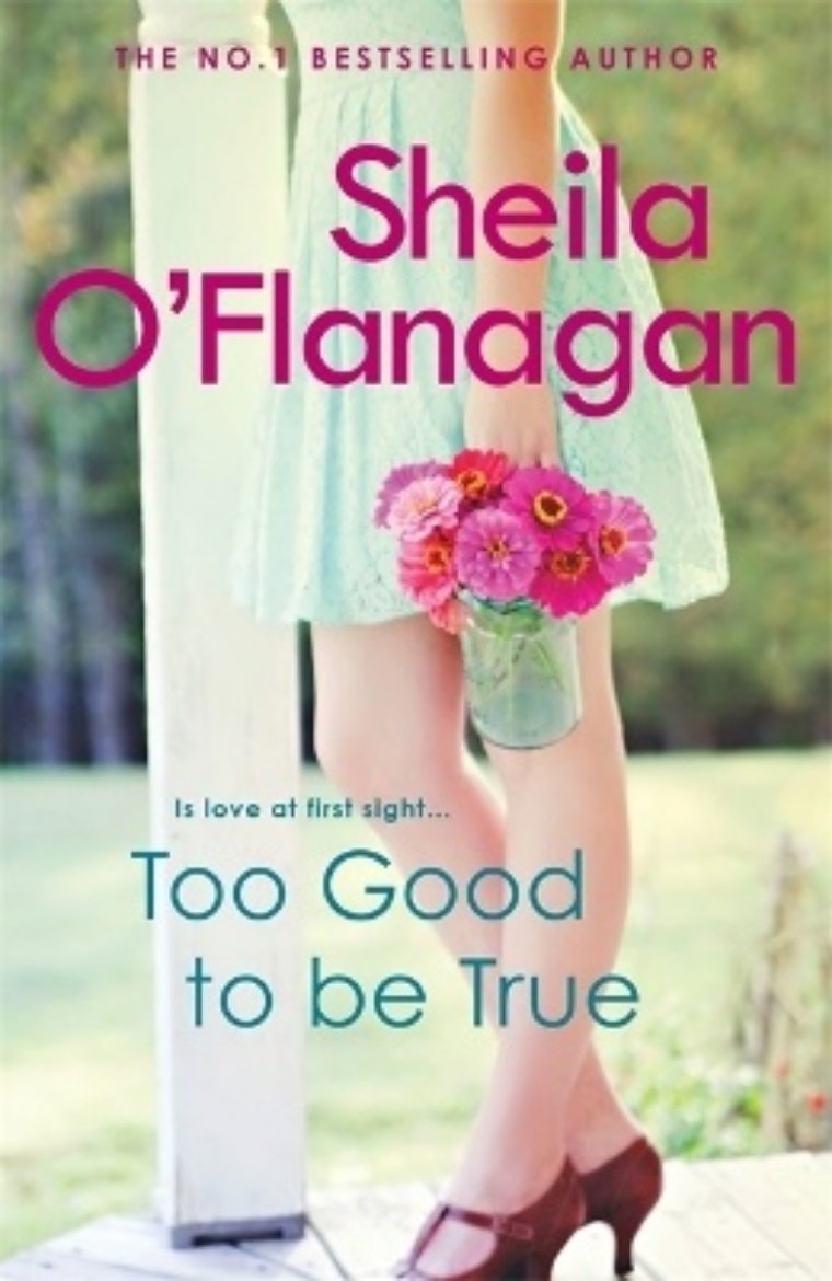 Picture of Too good to be true - a feel-good read of romance and adventure
