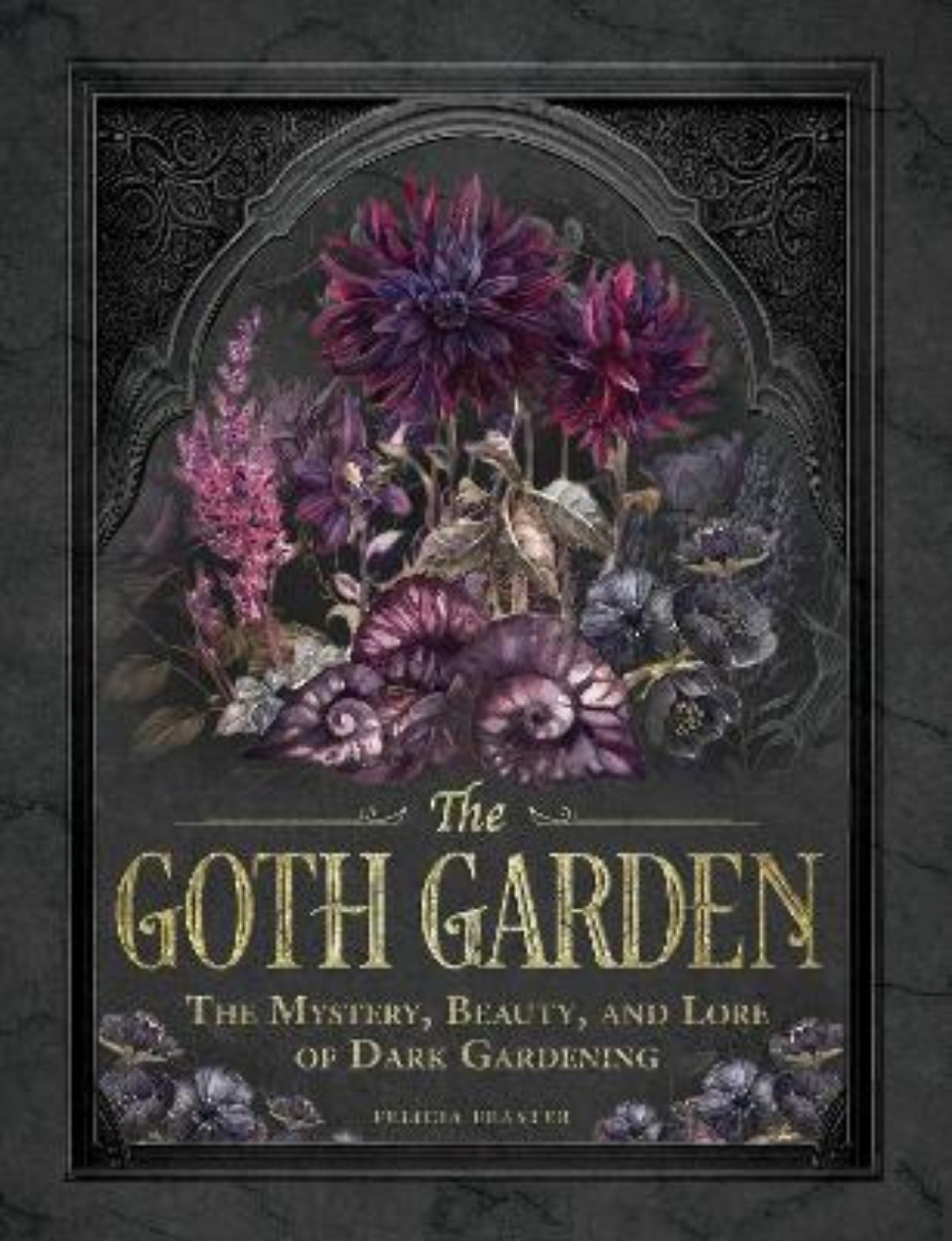 Picture of The Goth Garden