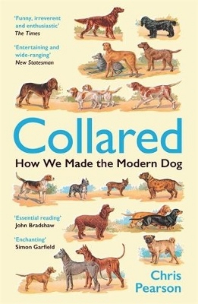 Picture of Collared