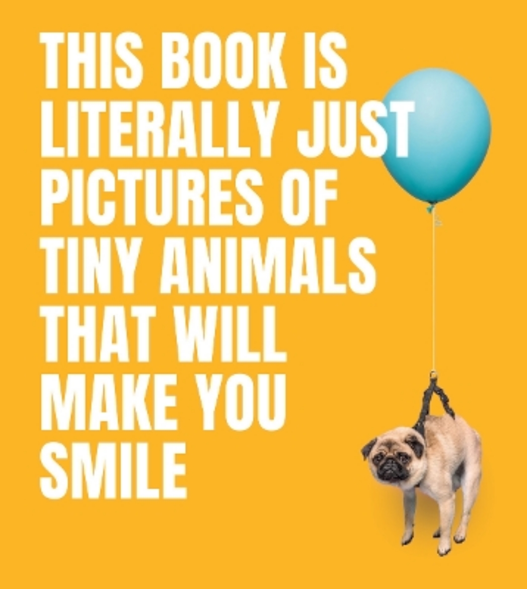 Picture of This Book Is Literally Just Pictures of Tiny Animals That Will Make You Smi