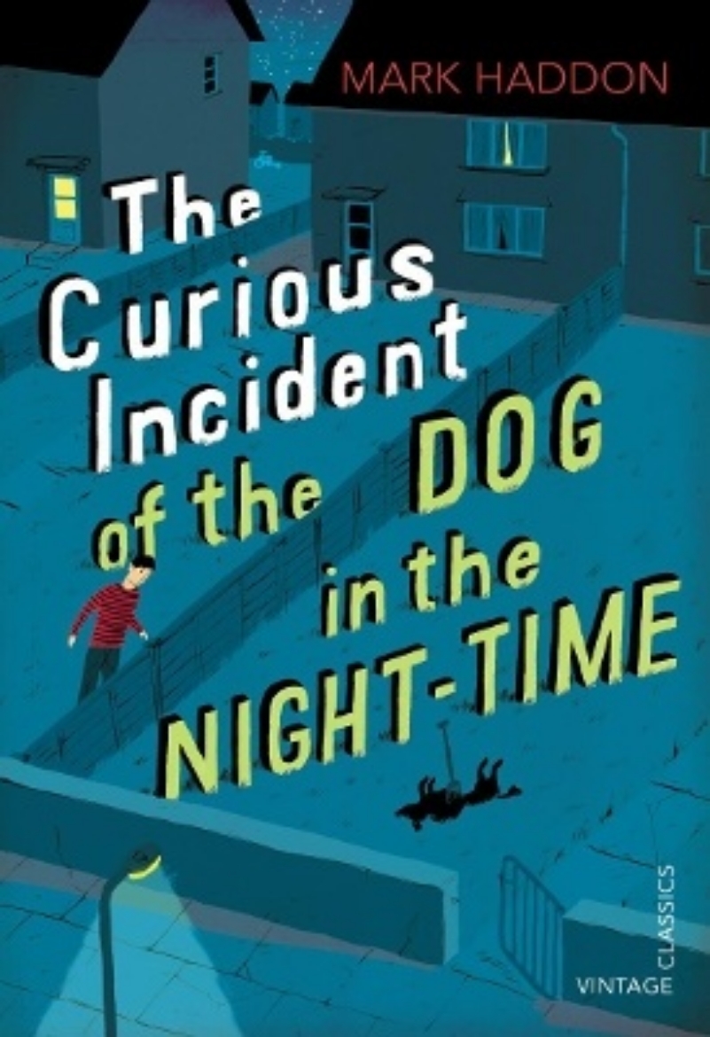 Picture of The Curious Incident of the Dog in the Night-time