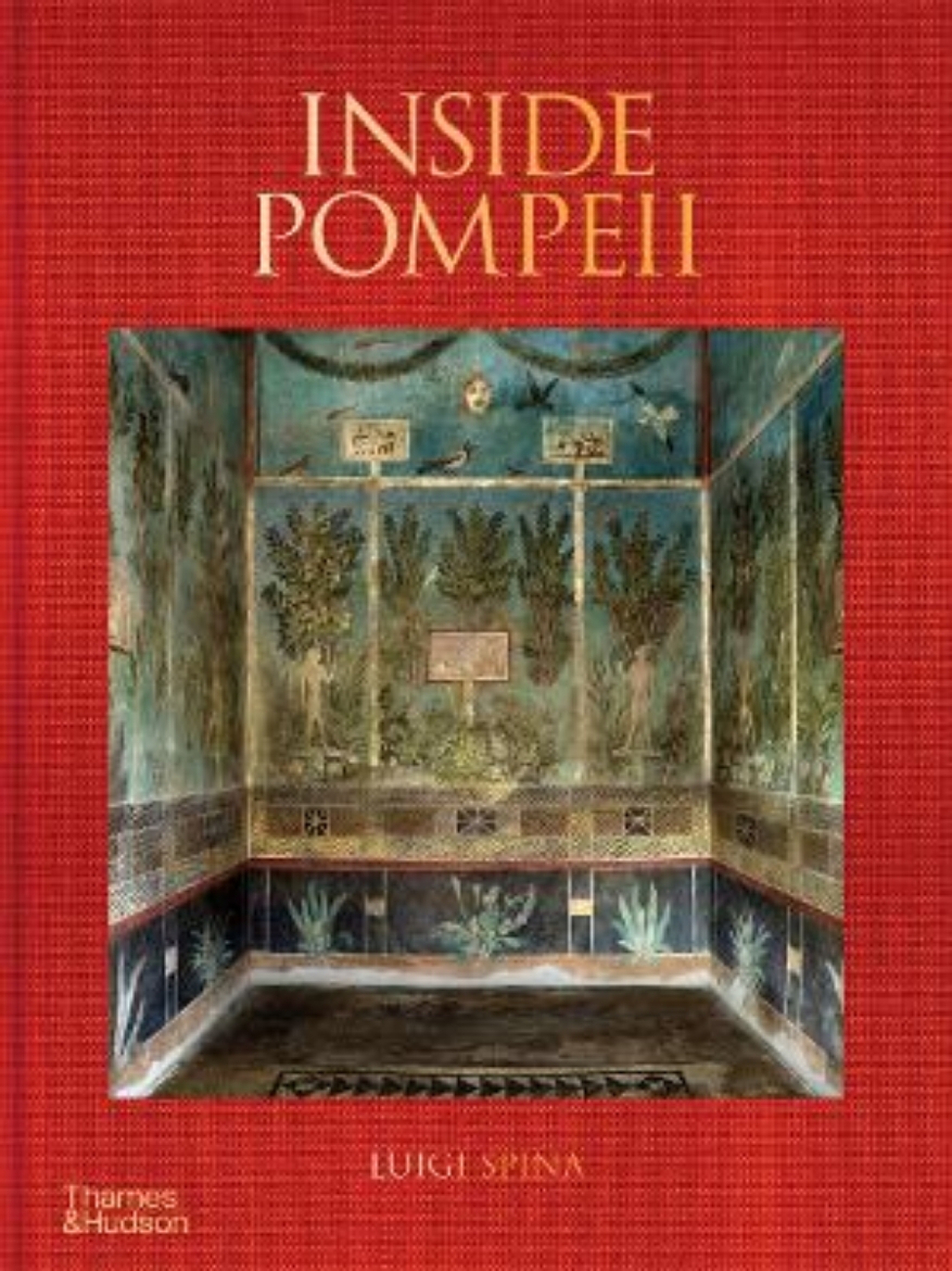 Picture of Inside Pompeii