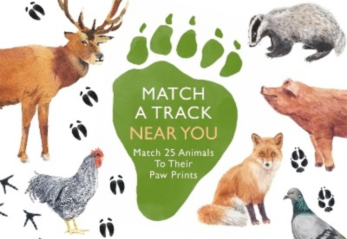 Picture of Match a Track Near You