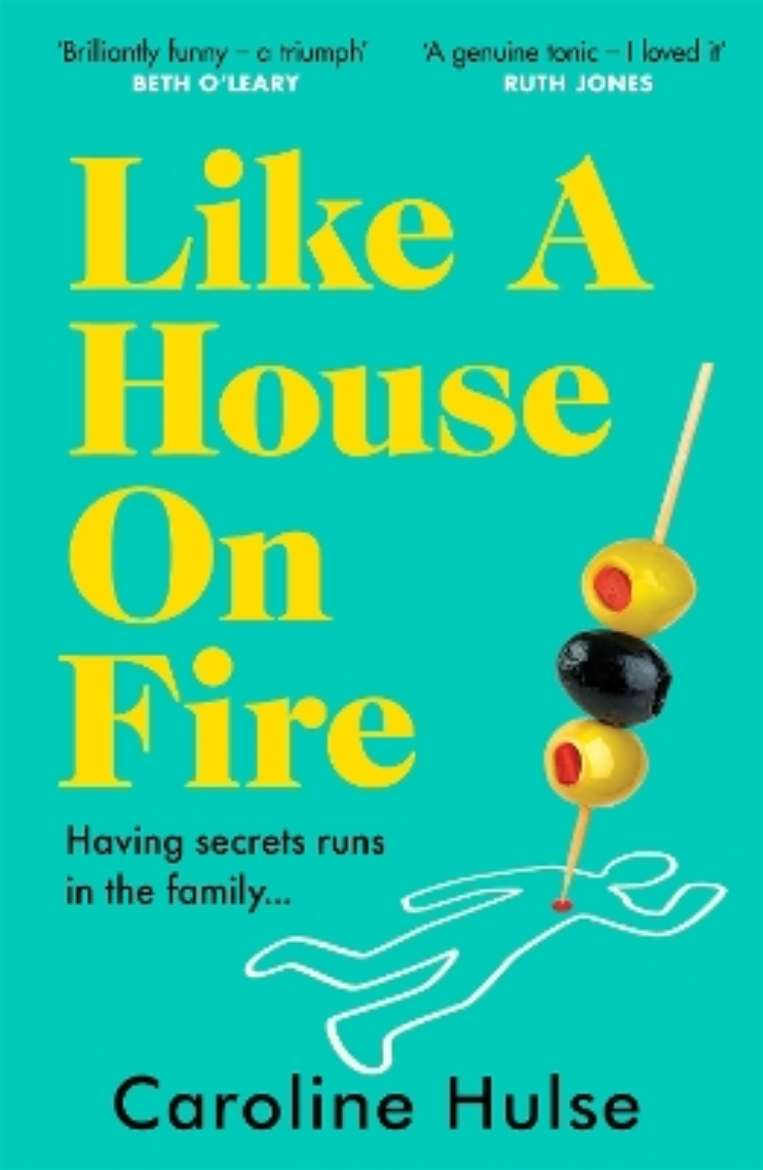 Picture of Like A House On Fire - 'Brilliantly funny - I loved it' Beth O'Leary, autho